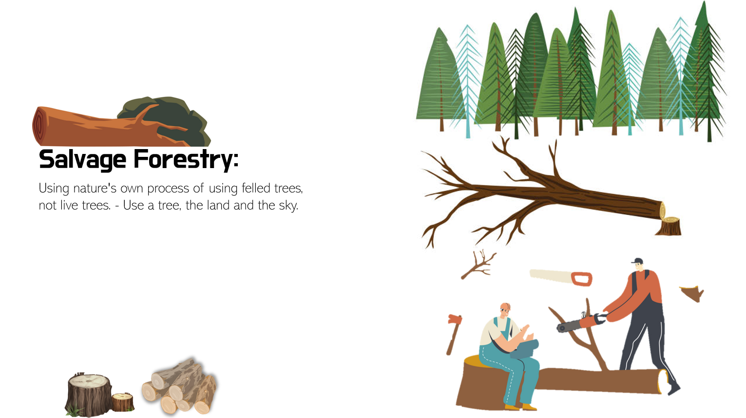 illustrated picture of forestry